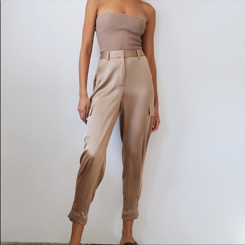 Aritzia Taupe Pants BRAND NEW